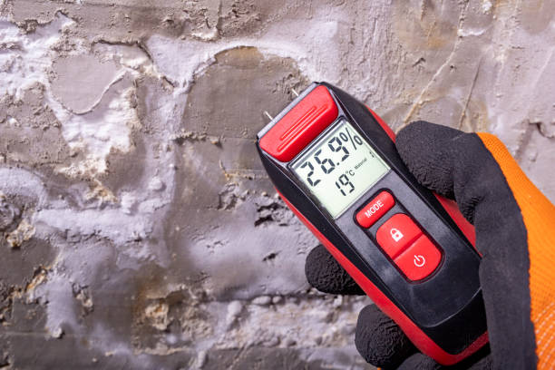Best Local Mold Removal Service  in Holdrege, NE