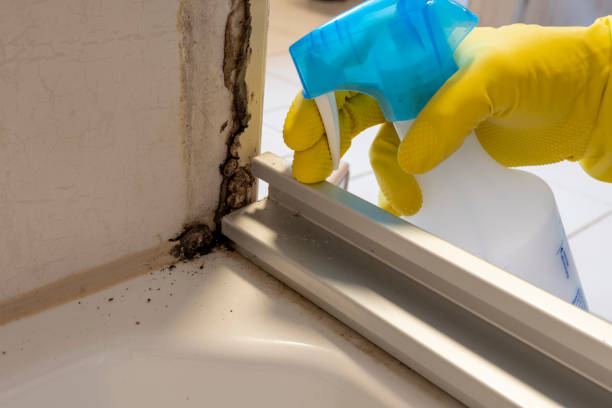 Crawl Space Mold Removal in Holdrege, NE
