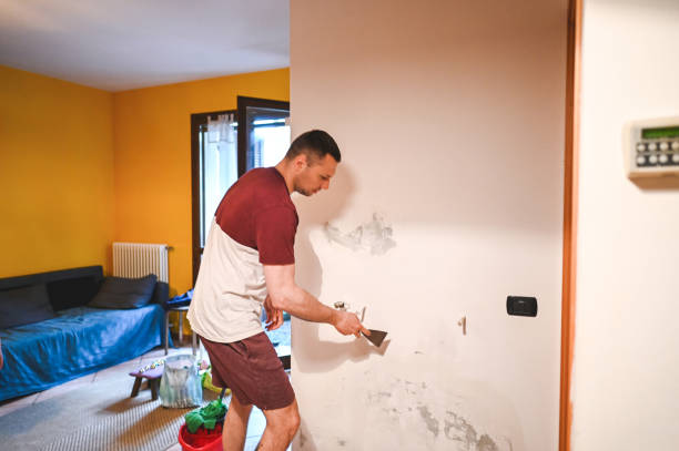 Best Mold Removal Company Near Me  in Holdrege, NE